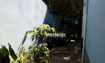 Imagem 5: Sobrado com 3 dormitórios à venda, 240 m² - Vila Albertina - São Paulo/SP