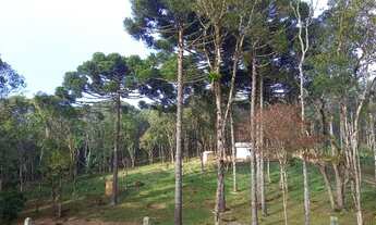 Imagem 4: Chácara em Mandirituba PR