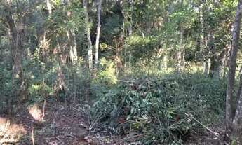 Imagem 4: 117715 CHACRINHA VÁRIAS FRUTÍFERAS, FIBRA ÓTICA, POÇO ARTESIANO, DUAS CASAS