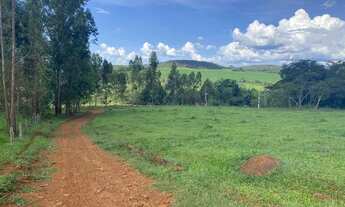 Imagem 6: CHÁCARA COM REGO D?ÁGUA