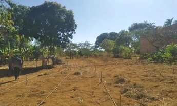 Imagem 5: Chacará em Brazlandia - 5 mil metros