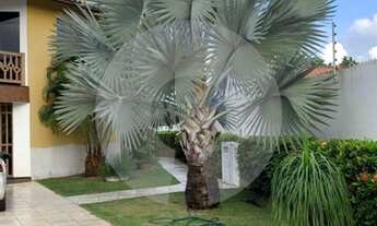 Imagem 7: Casa à venda no Robalo