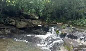 Imagem: Vendo fazenda em Buritis MG 46 hectares