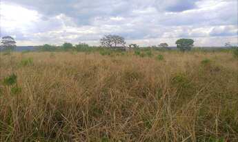 Imagem 4: Excelente chácara com 20.000 m² no Núcleo Rural Boa Esperança