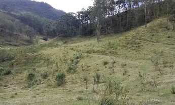 Imagem 7: Terrenos contendo 2,36 hectares em Marmelópolis- Sul de Minas Gerais
