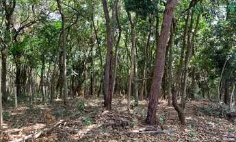 Imagem 5: Chácara 2.250 m² em condomínio, chalé, fogão a lenha, córrego nos fundos e cisterna