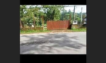 Imagem 2: Gravataí Sítio Frente Asfaltado - 3200 metros