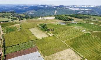 Imagem 5: INBOX CIA IMOBILILIÁRIA VENDE EM PINTO BANDEIRA - Área de terras com quatro hectares em Pi