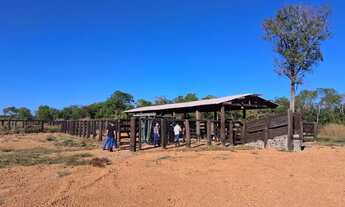 Imagem 3: Fazenda 1.717 hec pega 100% em permuta com renda, em porto alegre norte MT
