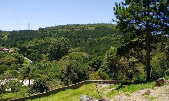 Imagem 2: Terreno à venda no bairro Ratones - Florianópolis/SC