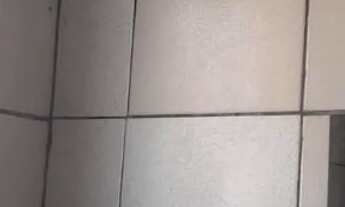 Imagem 4: ALUGO CASA SOZINHA NO TERRENO