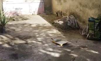 Imagem 5: Alugo , Cordovil. Av: schult wenk 1226