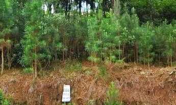 Imagem 3: Terreno à Venda em Gramado no Loteamento Marsal!