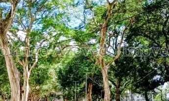 Imagem 5: APARTAMENTO NA PRAÇA AFONSO PENA - Rio de Janeiro - RJ