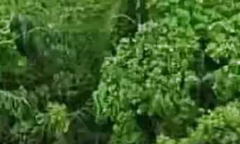 Imagem: Terreno para Locação - Ponta Negra