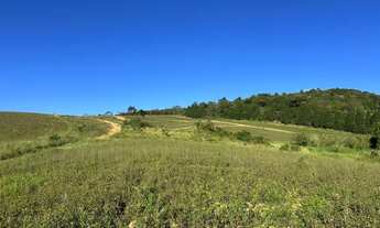 Imagem: Cotia Lote de 500m² em Área Residencial