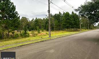 Imagem 3: Terreno em Santa Isabel