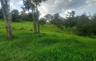 Imagem 4: Imóvel para venda tem 200 metros quadrados com 3 quartos em Centro - Anicuns - GO