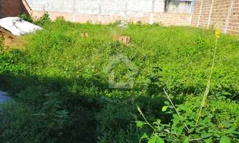 Imagem 5: Lote murado em General Maynard