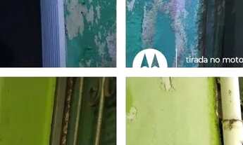 Imagem: Imóvel com duas casas e garagem em Cotia,divisa