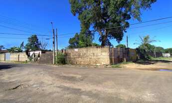 Imagem 2: Rural Chácara em Araraquara