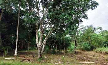 Imagem 5: Terreno medindo 20X100 metros