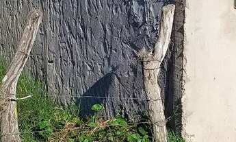 Imagem 3: Casa em Simão dias