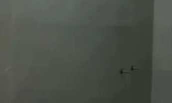 Imagem 2: Alto Padrão Jardim Palmeiras/Financia,!!!