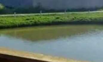 Imagem 3: Terreno quitado Resid Jequitibá só 60 mil ao lado Collynas