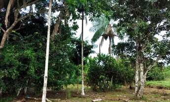 Imagem 4: Terreno medindo 20X100 metros