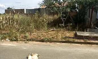 Imagem 5: Lote em Residencial Hebrom - Senador Canedo - GO