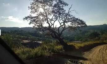 Imagem 3: Terrenos de 1.000 m² com Excelente Custo-Benefício! 20 min da Rota do Vinho!