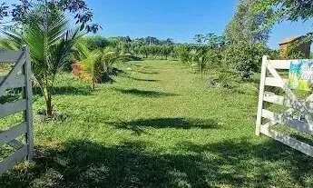 Imagem 4: Imóvel para venda com 1000 metros quadrados em Área Rural de Trindade - Trindade - GO