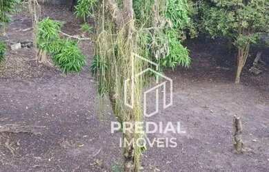 Imagem 3: Terreno à venda, 518 m² por R$ 220.000,00 - Mata Paca - Niterói/RJ