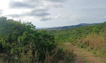 Imagem 5: Vendo chácara em jaraguá Góias aceito propostas pego carro também