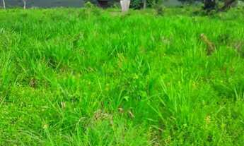 Imagem 3: Fazenda Rosário Oeste