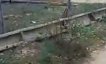 Imagem: Vende 1 chácara,município de Piracanjuba-Go