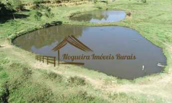 Imagem 5: Haras à venda na região de Itapetininga-SP