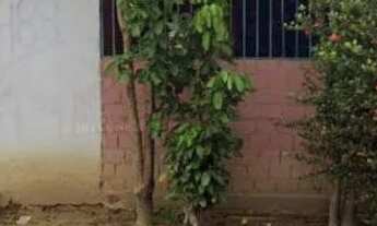 Imagem 5: Aluga-se esta casa