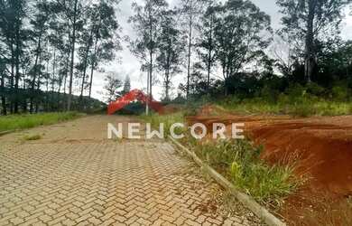 Imagem 7: Lote em Rua Jurerê - Emancipação - Parobé/RS