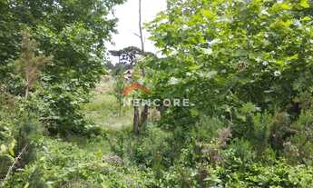 Imagem 2: Lote em Rua Boca Da Serra - Remanso Indianópolis - São Francisco de Paula/RS