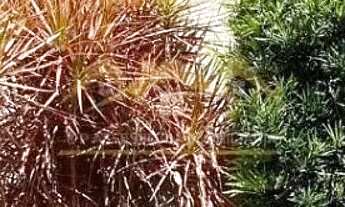 Imagem 3: Apartamento à venda em Cachoeirinha, Vila Cachoeirinha, com 3 quartos, com 114 m², Puerto