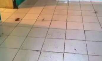 Imagem 3: Vende_se ou troca_se está casa ?