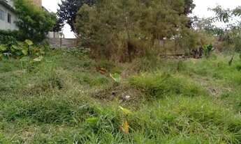 Imagem 4: Lote em Rua Salgado - Jardim Célia - Guarulhos/SP