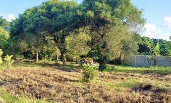 Imagem 5: Terreno para Venda em Rio de Janeiro, Ilha de Guaratiba