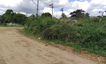 Imagem 3: Excelente Área Comercial