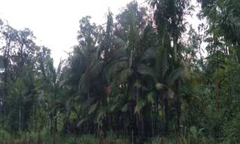 Imagem 6: ITANHAÉM - Terreno Padrão - JARDIM AGUAPEÚ