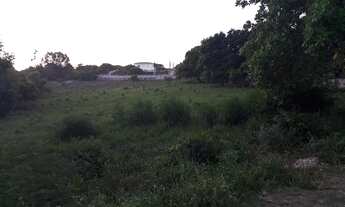 Imagem 5: Busca Vida 10.000m2 para condomínio