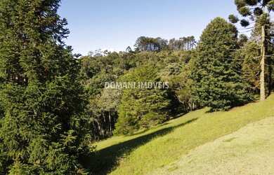 Imagem 4: Lindo Terreno à Venda no Condomínio Residencial Reserva Figueiredo - Campos do Jordão/SP