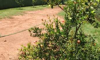 Imagem 6: Terreno à venda em São Bento do Sapucaí - SP